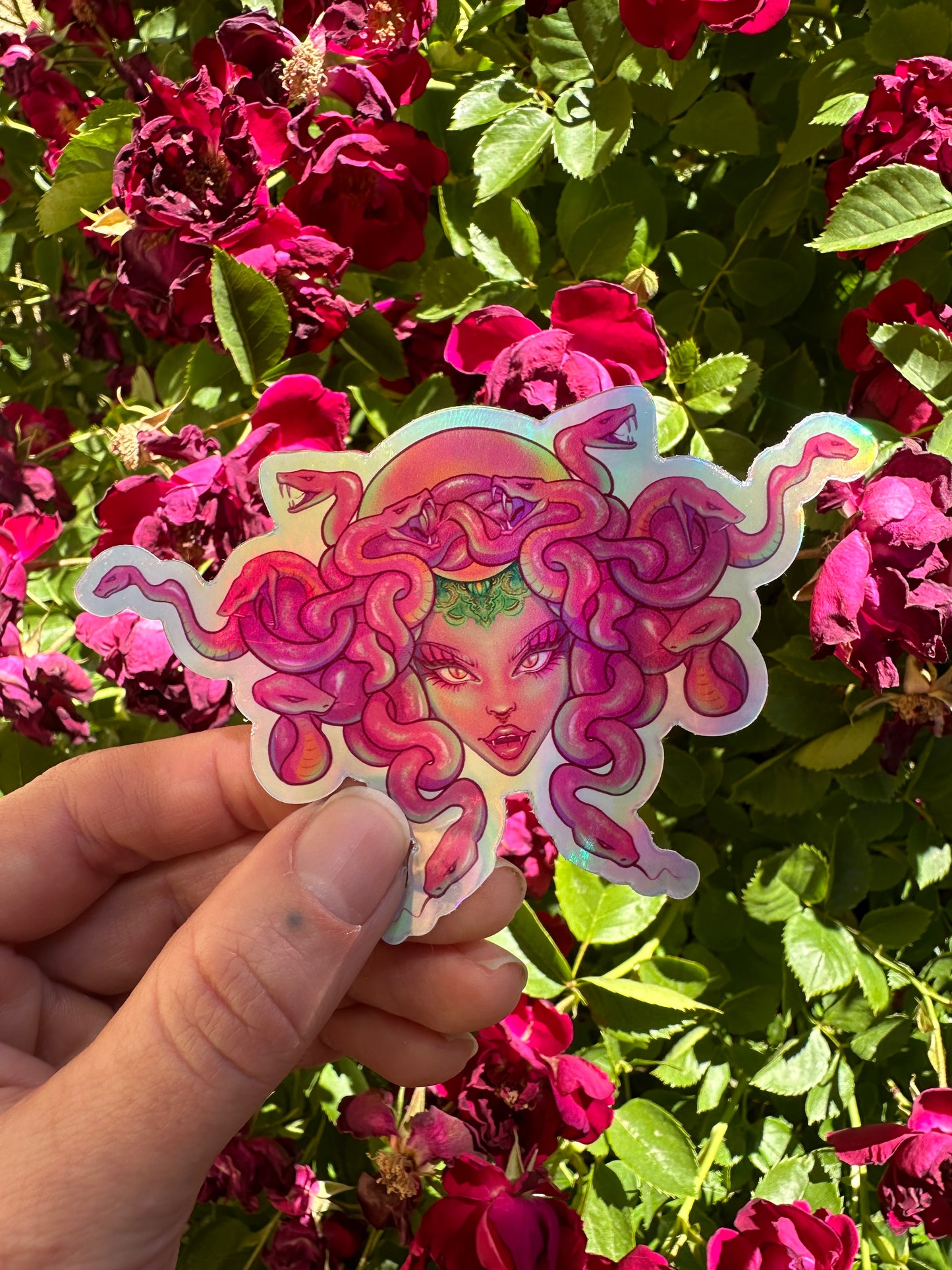 Medusa Sticker